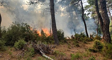 Gelibolu'da yıldırım düşmesi sonucu bir yangın daha
