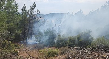 Gelibolu'da yıldırım düşmesi sonucu çıkan orman yangını kontrol altına alındı