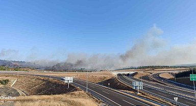 Gelibolu'da zirai alanda yangın çıktı