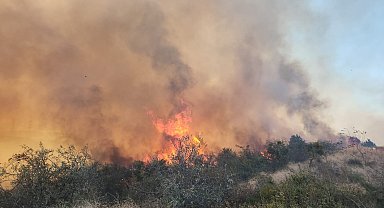 Gelibolu'daki yangına müdahale 