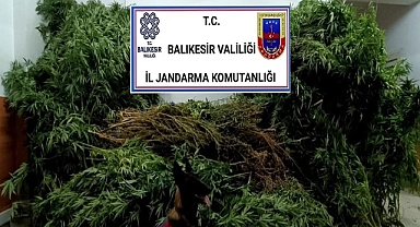 Gömeç İlçesinde Uyuşturucu Operasyonu   