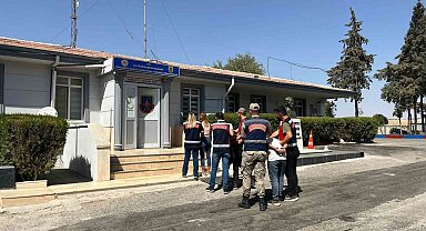 Hırsızların bagajından koyun çıktı