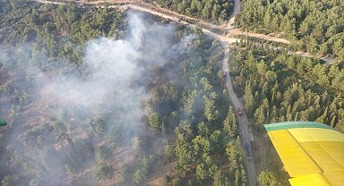İzmir'de orman yangınına havadan ve karadan müdahale sürüyor