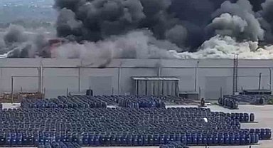 İzmir'de palet fabrikasında büyük yangın