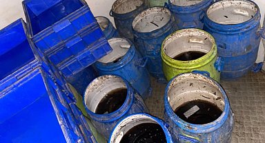 Yol kontrollünde minibüs içinde 550 kilogram canlı deniz patlıcanı ele geçirdi