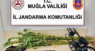 Jandarmadan uyuşturucu ve tarihi eser operasyonu