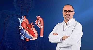 Kanda yüksek yağ oranı aort yırtılmasına neden oluyor