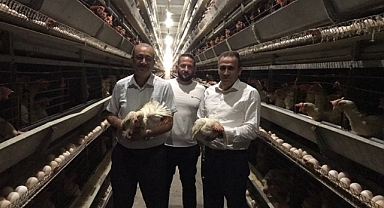 Kaymakam Memiş’ten Yumurta Ve Et Üretim Tesislerine Ziyaret	