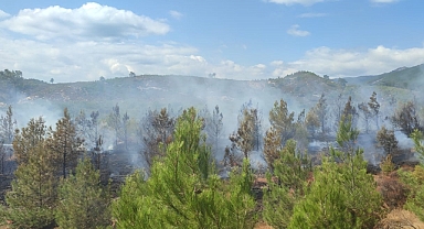 Kazdağları'nda Orman Yangını