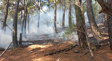 Kazdağları’nda Örtü Yangını  