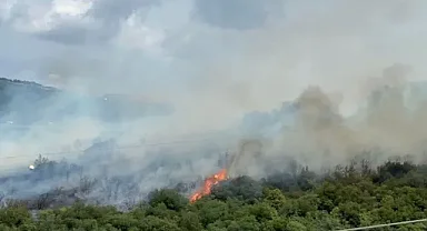 Kocaeli'de orman yangını