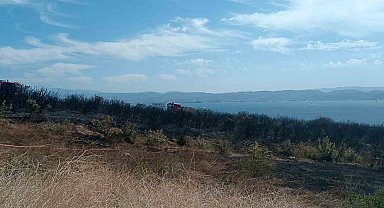 Kocaeli'de çıkan orman yangını söndürüldü