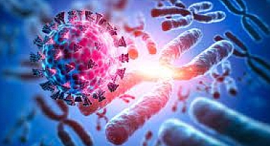 Kök hücre bağışıyla iyiliğe davet