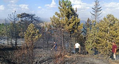 Konya'da orman yangını