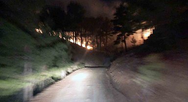 Köyceğiz Otmanlar'da 3 hektar ormanlık alan yandı