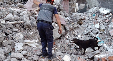 Kurtarma Köpeği Ateş'e Site Enkazında Eğitim  