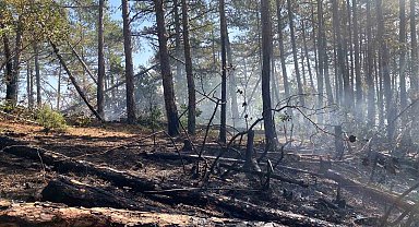 Kütahya'daki orman yangını için Bursa'da da seferberlik