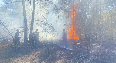 Manavgat'ta ormanlık alanda başlayan ikinci yangın söndürüldü