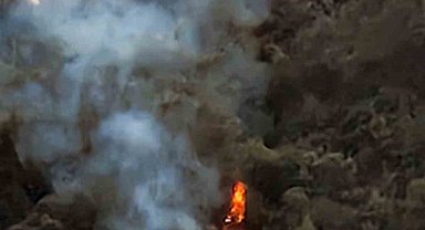 Marmaris Karacasöğüt'te orman yangını