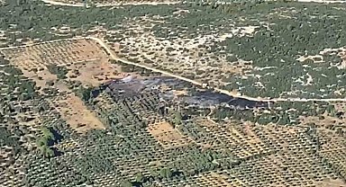 Menteşe'de makilik yangını ormana sıçramadan söndürüldü