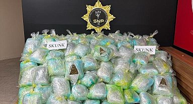 Şanlıurfa'da uyuşturucu operasyonu: 167 kilogram skunk ele geçirildi