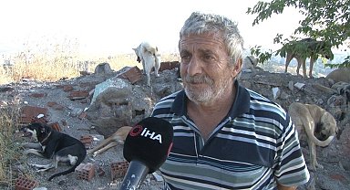 Sokak köpeklerini beslediği için komşusunun silahlı saldırısına uğradı