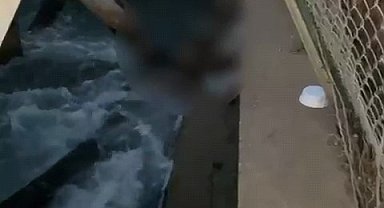 Sulama kanalında ceset bulundu