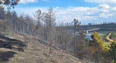 Sultangazi'de ormanlık alanda yangın