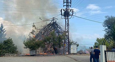 Trafo patladı, ağaçlar ve otluk alan alev aldı
