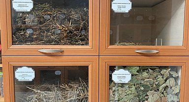 43 yıllık aktardan 