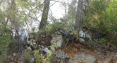 Alanya'da çıkan orman yangını büyümeden kontrol altına alındı