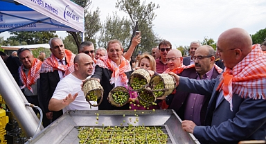 Ayvalık Zeytinine Uluslararası Festival Hasatı