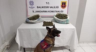 Balıkesir’de Uyuşturucu Operasyonu   