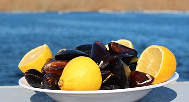 Balıkesir’den Türkiye'ye Midye 