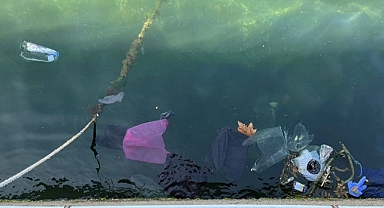 Bandırma Limanını Çöp Bastı 