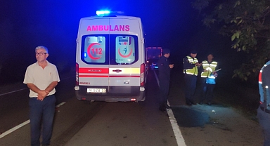 Yola fırlayan domuza çarpan araç zeytinliğe uçtu: 2 ölü