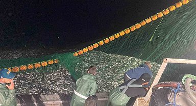 Çanakkale Boğazı'nda 30 ton sardalya yakaladı