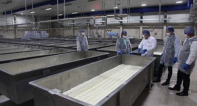 Çanakkale'de et, süt ve yumurta üreten işletmeler denetleniyor