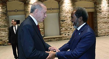 Cumhurbaşkanı Erdoğan, Somalili mevkidaşı Hasan Şeyh Mahmud ile görüştü
