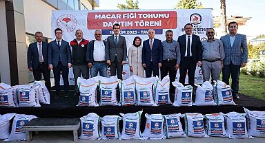 Denizli'de 1460 üreticiye 146 ton Macar fiği tohumu dağıtılıyor