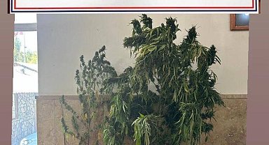 Denizli'de 2 uyuşturucu satıcısı tutuklandı