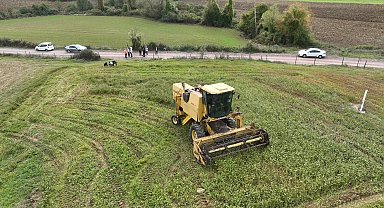 Derince'de glutensiz karabuğday ekimi yaygınlaşıyor