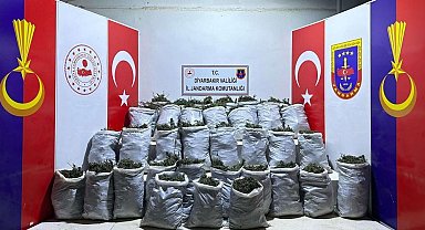 Diyarbakır'da 10 bin kök kenevir ve 202 kilo esrar ele geçirildi
