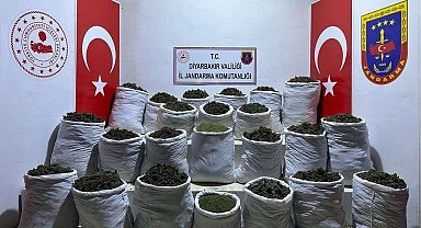 Diyarbakır'da 435 kilo esrar ve 632 bin 120 kök esrar bitkisi ele geçirildi