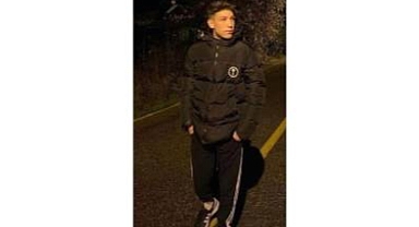 Gökova'da kaza: 1 ölü