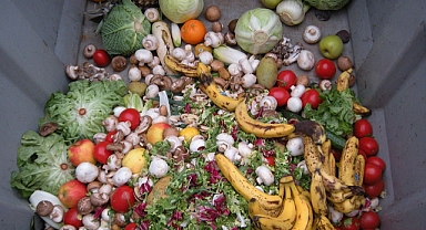 İsrafın Boyutu: Türkiye'de Çöpe Atılan Ekmeklerle Her Yıl 500 Okul Yapılabilir 