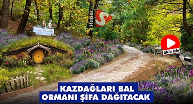 Kazdağları Bal Ormanı Şifa Dağıtacak 