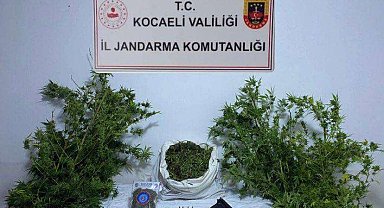 Kocaeli'de 3 ikamete uyuşturucu operasyonu