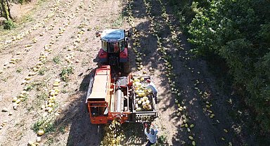 Konya'da kabak çekirdeği eleme tesisi üreticiye kolaylık sağlıyor