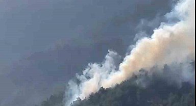 Köyceğiz Otmanlar'da orman yangını